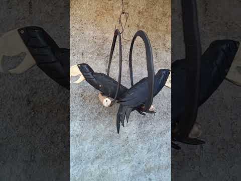 vários tucanos feitos de pneus concluídos Ilha Grande do Piauí