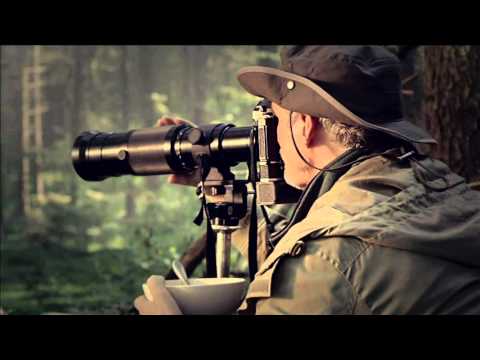 Makarą "Niedzikie Dziki"