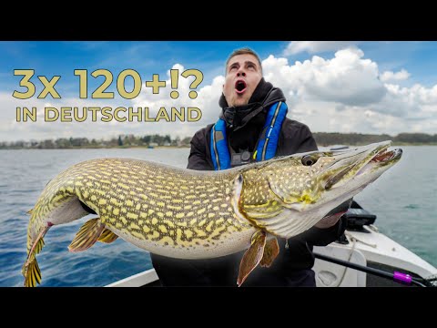 3x OVER 1.20 – our craziest day ever!