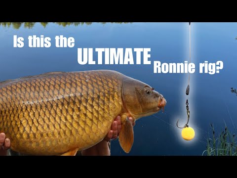 CARP FISHING: THE BEST RONNIE RIG EVER ?🤔 *Free Tackle Giveaway*
