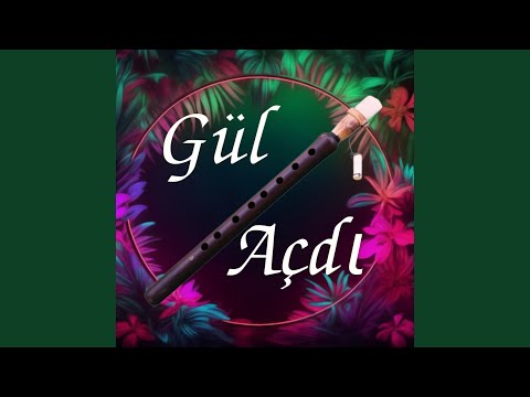 Gül Açdı