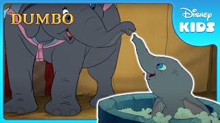 Dumbo Takes a Bath 🛁 | Dumbo | Disney Kids