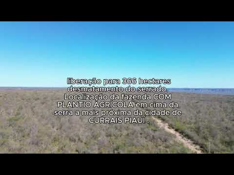 Fazenda em Currais - Piauí 