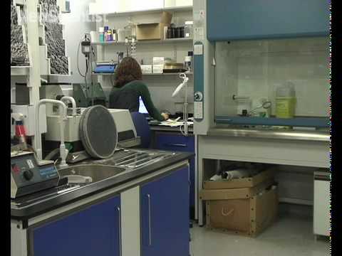 New Scientist TV - Jan 2010