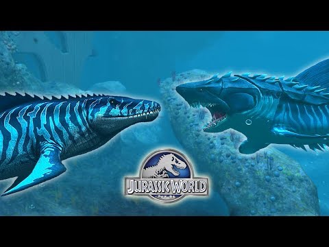 (THE BIG TOOTH) MEGALODON VS  MOSASAURUS - AQUATIC TOURNAMENT || JURASSIC WORLD THE GAME