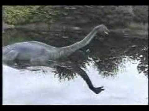 Arctic and the Tropics