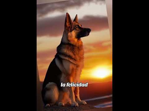 30 de noviembre de 2024