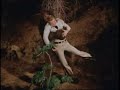 Six Million Dollar Man Steve Vs Bigfoot