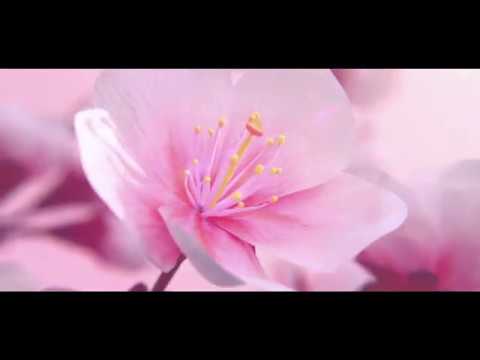 Energiereich Glücklich - das TagesOrakel von Malkiel  für den 29.1.20 - Mondpausen - Tarot