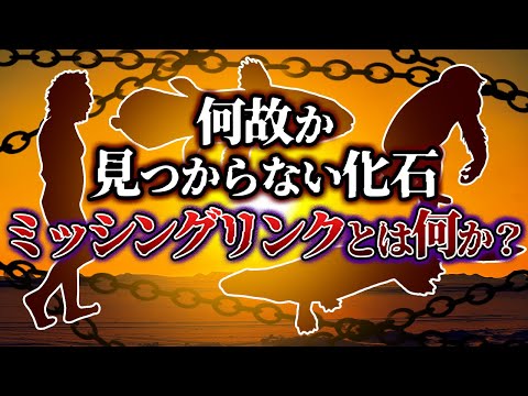 「裸の」化石に関する謎