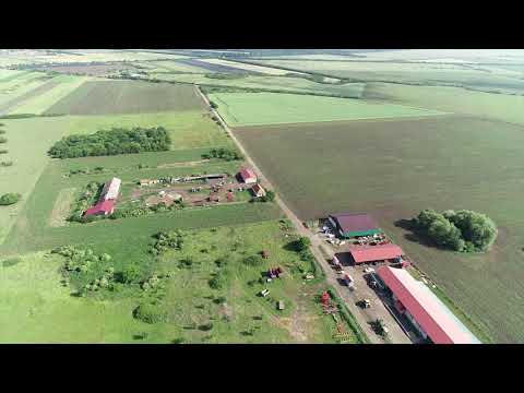 Dana Boariu, Deta județul Timiș