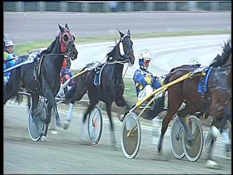 Trotto 06/12/2016 - 3ª corsa