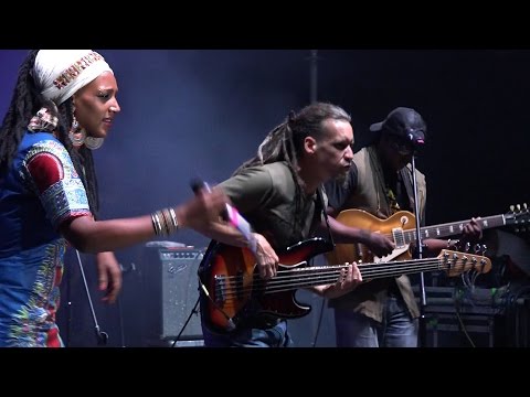 Mo' Kalamity & The Wizards - Live @ Regałowisko 2016