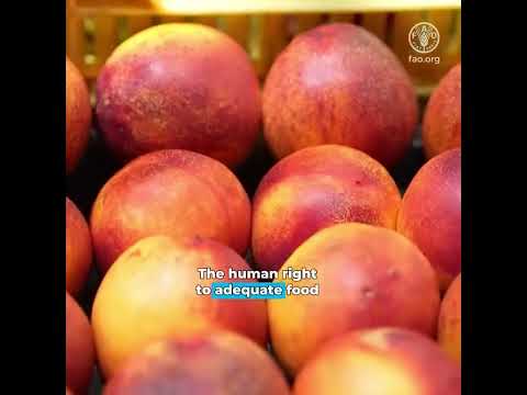 Food is where everything begins