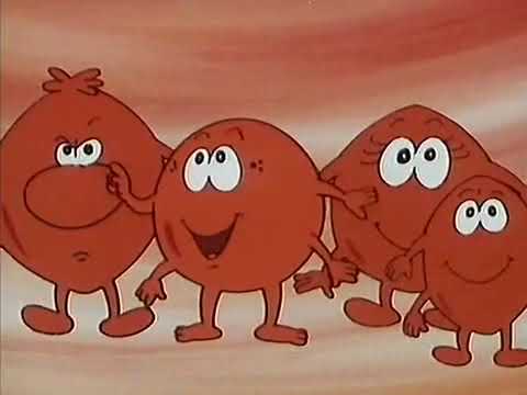 Es war einmal … das Leben Staffel 1 Folge 6 - Screen 02 HD Deutsch