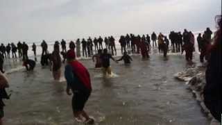 preview picture of video 'Polar bear dip 2013, kingsville ont!'