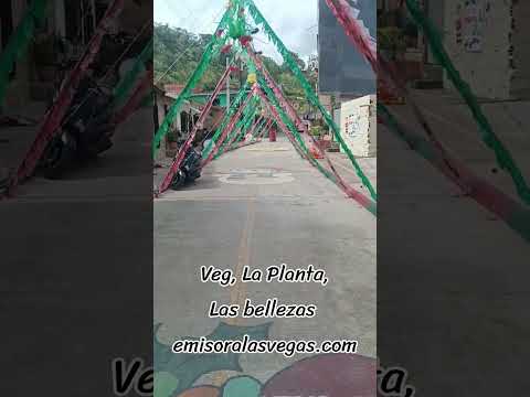 ✨ La magia de la Navidad ya se siente.  Vegachí, Antioquia — Sector Las Bellezas, Barrio La Planta.