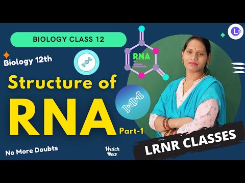 ​Structure of RNA Part-1 || Structure of M-RNA || Difference between DNA & RNA || Biology Class 12 || Direction of RNA || M-RNA R-RNA T-RNA || LRNR Classes