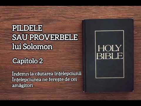 Pildele sau Proverbele lui Solomon 2