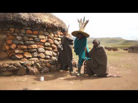 MONKEYBRAIN - 3/4 VERTRÄUMT (Bananenkiste)