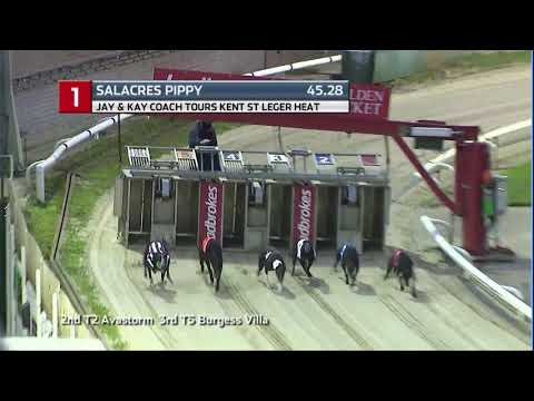 2020 KENT ST LEGER - HEAT 1 - T1 SALACRES PIPPY
