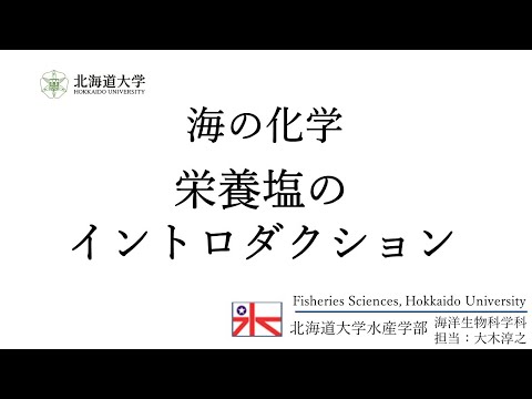 海洋: 大気中の塵からの栄養分