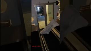 Download lagu HOW CAN YOU NOT BE SHOCKED 😭#trending #shorts #trending #horror #demons #ghosts #funny #apparitio... mp3