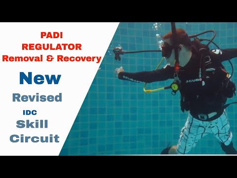 Regulator Recovery and Clearing - PADI IDC Skills Circuit • Neutrally Buoyant