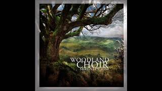 Woodland Choir - The Tavern