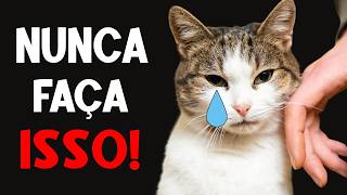 18 Coisas que seu gato NUNCA PERDOARÁ e infelizmente poucos prestam a atenção...