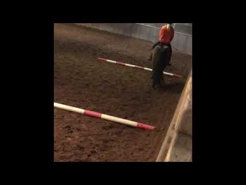 •| after school yard routine 💜💕