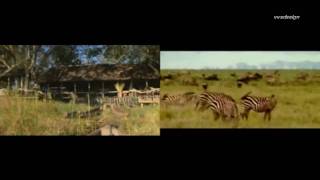 Amazing Africa by vvsmusic