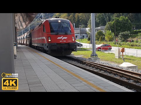 Rail Traffic | SLOVENIA - JANUARY 2021 - SLOVENSKE ŽELEZNICE [4K]