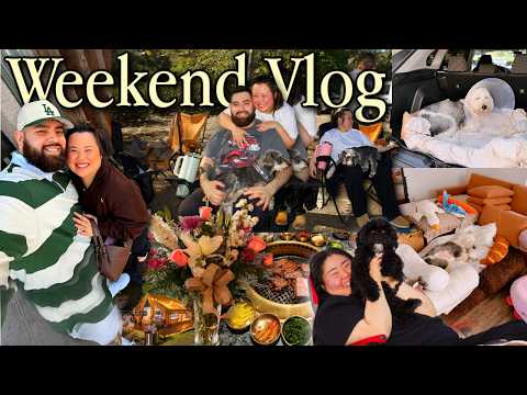 VLOG: camping w/ my korean family, getting emergency surgery, date night, korean bbq feast, update ✨