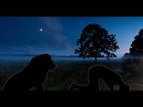 Shërbëtori i Turpshëm i Allahut