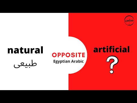 Common Opposites (Part 1 ) | Arabic lessons