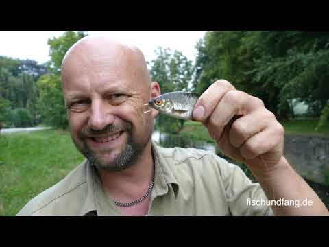 Matze Koch: Zander fishing is annoying! - Matze's Antics 10-2018