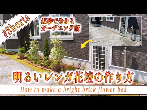 苗を何に入れますか？ 4 つの回復アイデア + ビデオ手順  庭園