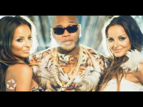 TWiiNS feat Flo Rida   One Night Stand official music video