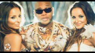 TWiiNS feat Flo Rida   One Night Stand official music video