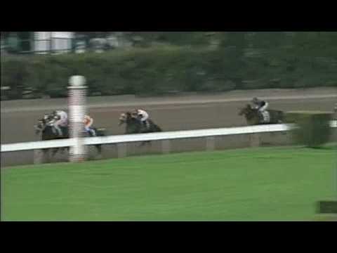 Sir Bear-Enrique M. Jurado Broward Handicap GR.3 1998