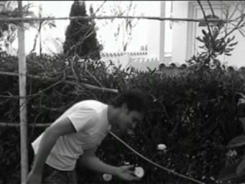 D7 The Band (Our Lives in Motion).mpg