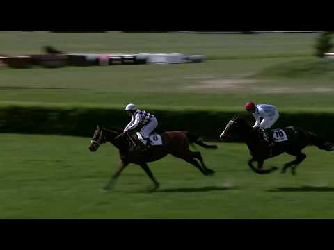 2. dostih - Cena memoranda "Dostihový spolek a.s., HC Dynamo" - dostihy Pardubice 8. 5. 2019