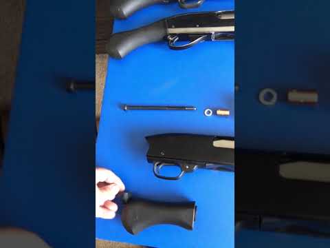 shockwave winchester birdshead raptor grip