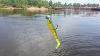 Fox rage zander pro shads