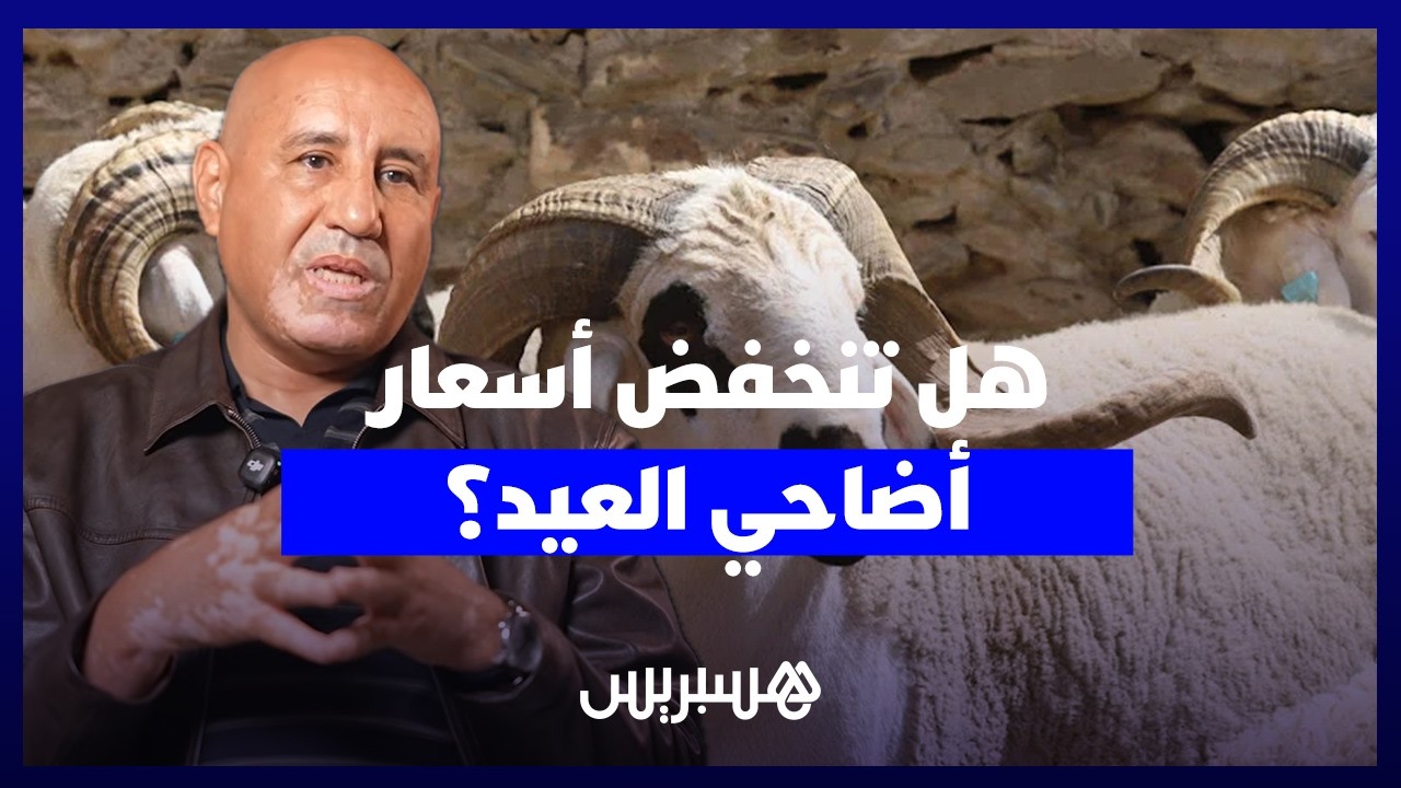 حاتمي يكشف بالأرقام.. هل تنخفض أسعار عيد الأضحى 2026 بعد وفرة التساقطات؟ thumbnail