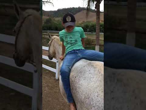 Peão abeia demais 😂😂🐝 #shorts