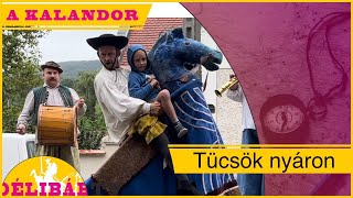 21. - Mint a tücsök nyáron - a félegyházi gólyalábasok egy napja -Délibáb Tv-