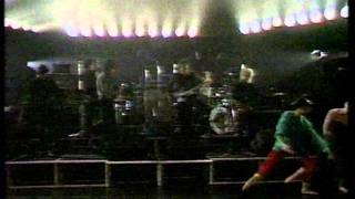 The Fall - Lay Of The Land live