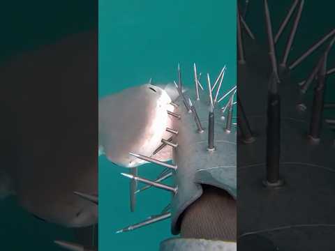 POV: You Jump Into a Shark Frenzy in a Spike Suit 🦈.#shorts